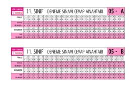 11 - 12.SINIF DENEME CEVAP ANAHTARI (17.03.2026)